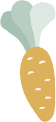 Hand drawn Vegetable Illustration