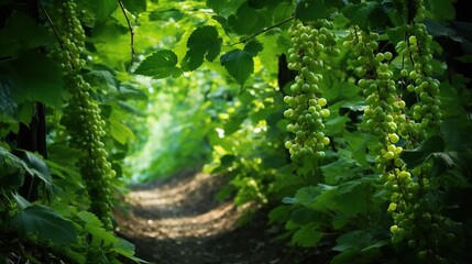 Obraz premium a dirt road surrounded by green plants and leaves on both sides of it. generative ai