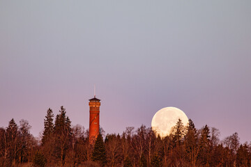 Moon goes down behind trees at a lookout tower