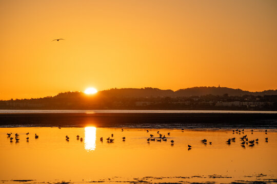 Sun rising over hills and reflection, with birds in foreground and flying