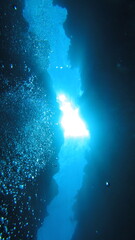 Obraz premium スキューバダイビング沖縄の海