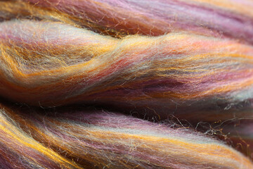 Closeup detail of colourful sheep wool merino, alpaca and silk fibres  in a roving pleat, ready for...
