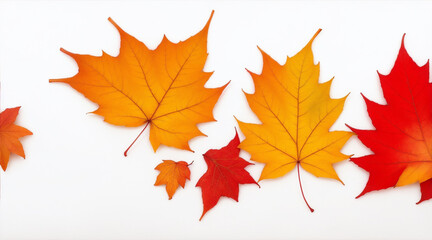 Fall leaves are laying down on a white background. Generative AI.
