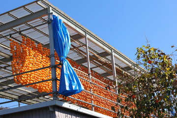 柿を干す日本の秋の風景