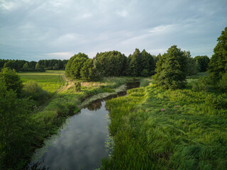 Fototapeta na wymiar The small winding river Grabia in central Poland.