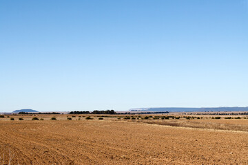 Fototapeta na wymiar Free State farmlands in winter