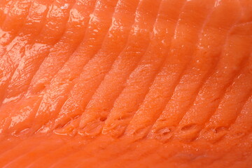 close up of salmon