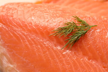 slice of salmon