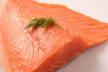 fresh salmon fillet