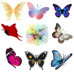 set of butterflies