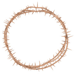 a 3D artwork of the Crown of Thorns worn by Jesus. This piece will be used for designing modern visual art publications related to Christianity, the suffering of Christ, and religious theme