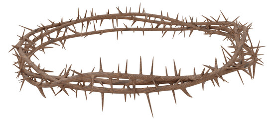 a 3D artwork of the Crown of Thorns worn by Jesus. This piece will be used for designing modern visual art publications related to Christianity, the suffering of Christ, and religious theme