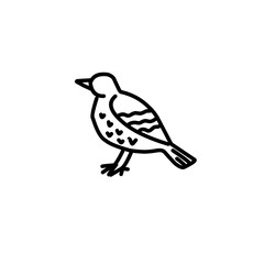 birds icons