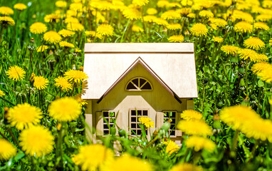 The symbol of the house stands among the yellow dandelions 