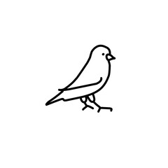 birds icons