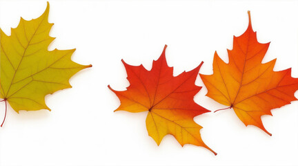 Fall leaves are laying down on a white background. Generative AI.