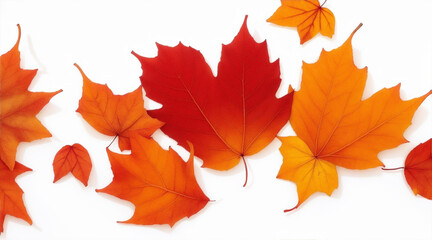 Fototapeta premium Fall leaves autumn are laying down on a white background. Generative AI.
