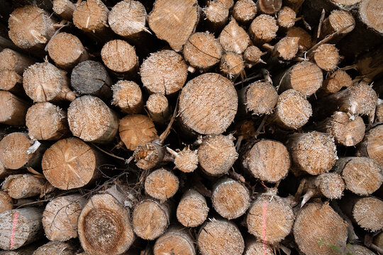 Holzstapel