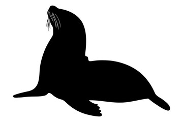 Sea lion silhouette isolated. vector illustration © Formatoriginal