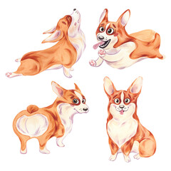 A set of corgi dogs in different poses. Watercolor illustration on a white background. Sitting, running, doing yoga. Cute and fluffy puppy.