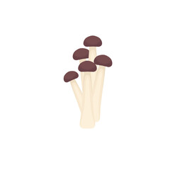 mushroom cartoon