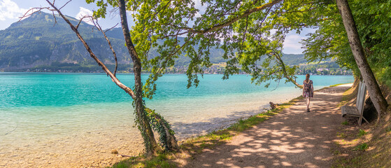 path along the lake Wolfgangsee, tree avenue on the shore, Zwolferhorn mountain in the background, Sankt Gilgen, Austria