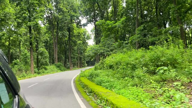 Dehradun Uttarakhand India 03 04 2022. Mountain highway road in the forest with car traffic and huge green trees.Aerial view of the forest.