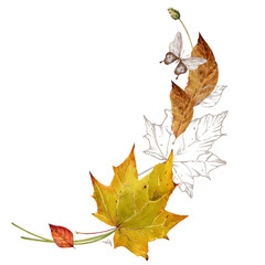 Autumn bouquet of dry leaves with a butterfly. Watercolor illustration in offset technique for corner decoration, invitations, cards, textiles.
