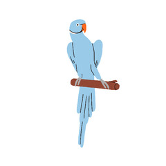 Cute ringneck parrot. Exotic ring-necked parakeet. Tropical jungle bird sitting on perch. Funny psittacula krameri of blue colour morph. Flat vector illustration isolated on white background