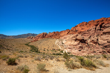 View of Rock Formations and Flora in Red Rock Canyon, Nevada