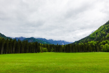 Fototapeta na wymiar green meadow with a forest and mountains with dense clouds after rain