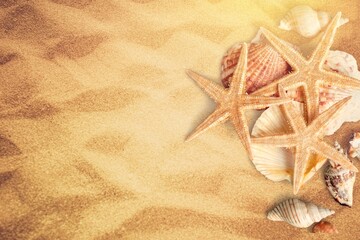 Fototapeta na wymiar Starfish and seashells on the sand beach at sea