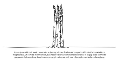 Asparagus one continuous line design. Vegetable symbol concept. Decorative elements drawn on a white background.