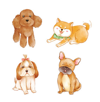 set of cute dogs watercolor
