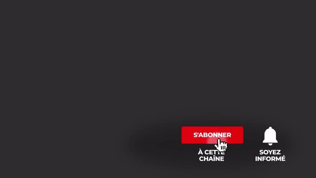 J'aime S'abonner Bouton 