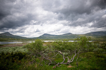 Rondane Nationalpark