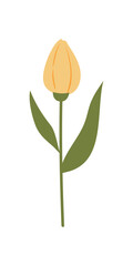 Gardening Element Illustration. Plant And Flower Illustration. Summer, Spring Season Elements.