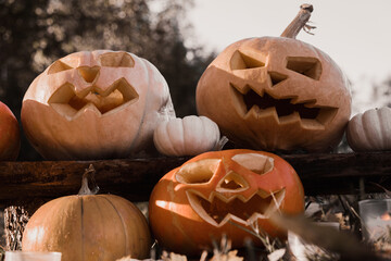 Halloween Pumpkin Head with Carved Scary Smiling Face on Wood Bench Outside. Jack-O-Lantern,...