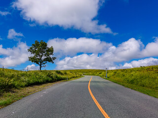 秋晴れ広がる阿蘇ミルクロードのドライブ風景（熊本県阿蘇市）
