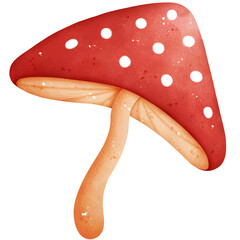 Watercolor Toadstool Illustration Isolated on Transparent Background