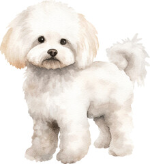 Obraz premium Bichon frise dog watercolour illustration created with Generative AI technology