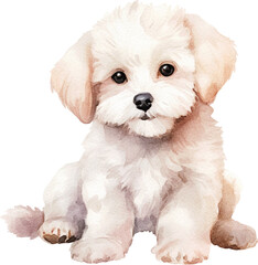 Obraz premium Bichon frise dog watercolour illustration created with Generative AI technology