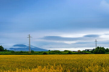 홋카이도, 비에이