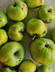 texture of green apples in the summer season of 2023 in italy