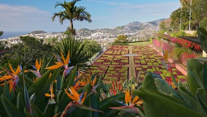 Gorgeous sunny view of the diverse vegetation of the island Madeira and Funchal city. Camera moves between colorful flowers in botanical garden of Funchal, Madeira - 628452718