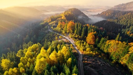 Aerial view of road between yellow and red autumn trees, morning fog, sunrise. Autumn landscape in...