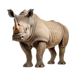 Zelfklevend Fotobehang huge rhino animal isolated on transparent background  AI generated image © yusufadi