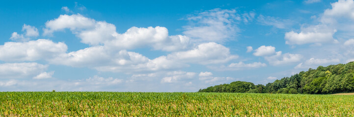 Odenwald Landschafts Panorama 3:9