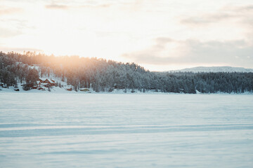 Snowy field with trees in winter under sky