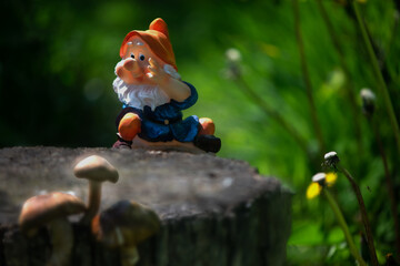 Fairytale gnome among airy dandelions.The forest wizard collected mushrooms.Spring forest glade. Sunny day in the forest.